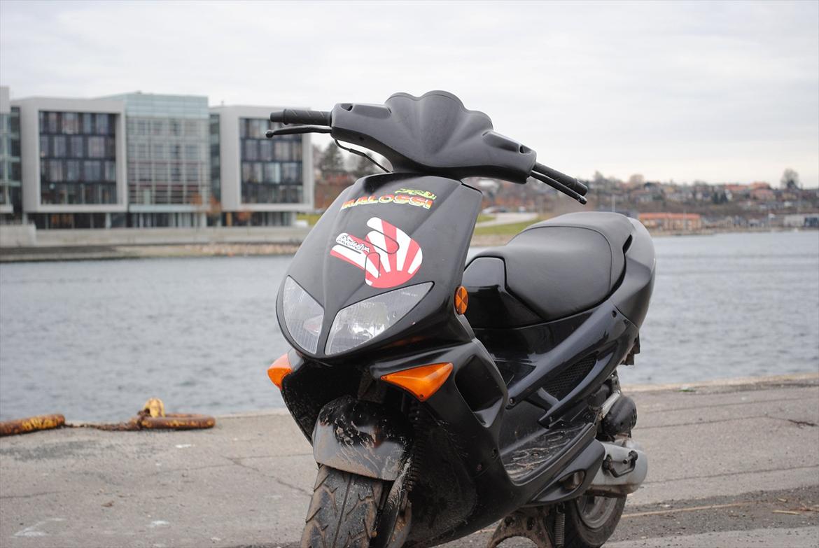Peugeot Speedfight 2 billede 5