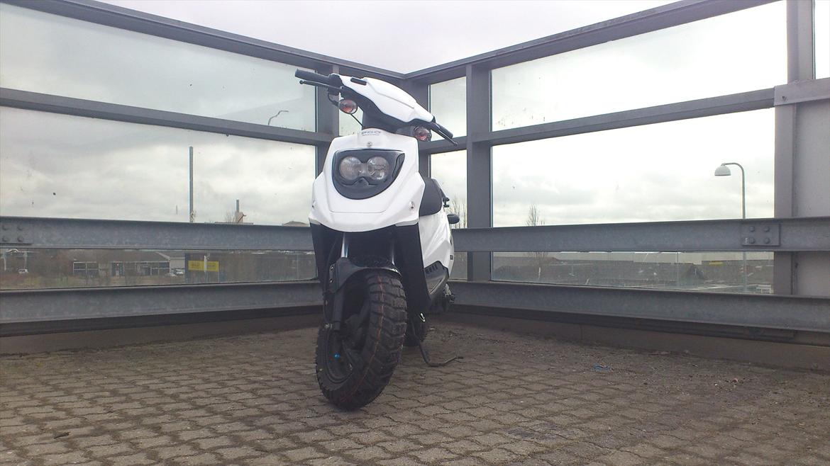 PGO Hot 50 billede 5