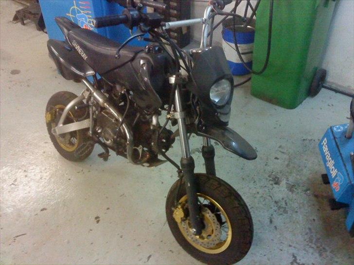 Shineray Topstar billede 2