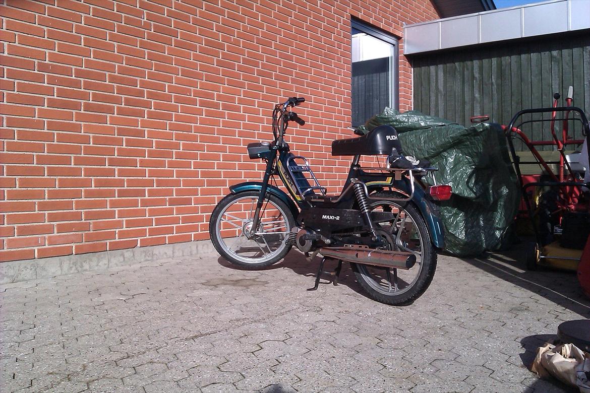 Puch maxi 2 gear billede 5