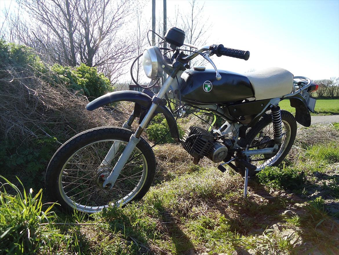 Puch Pioneer billede 1