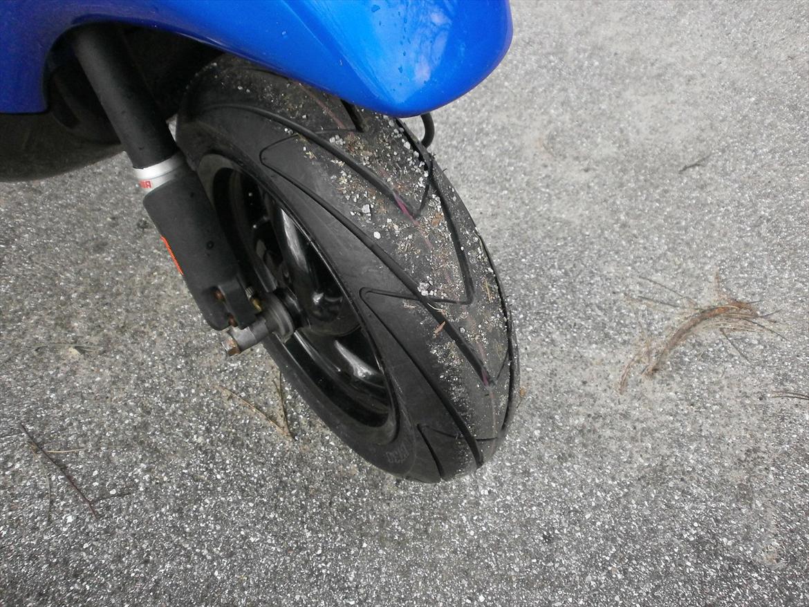 Piaggio Typhoon/storm billede 7