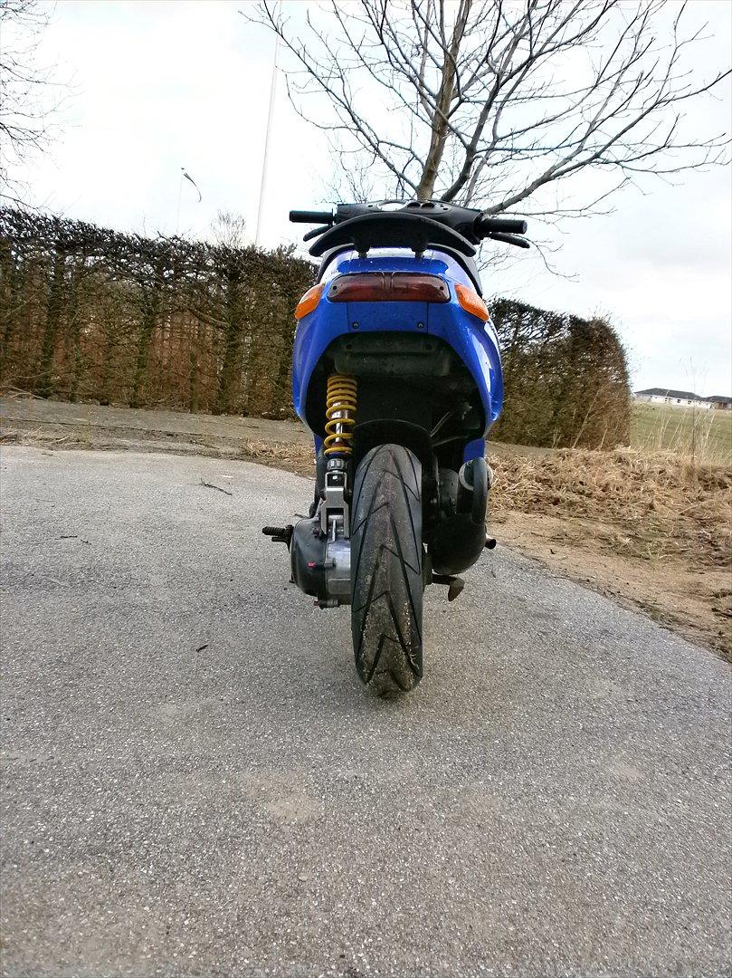 Piaggio Typhoon/storm billede 2