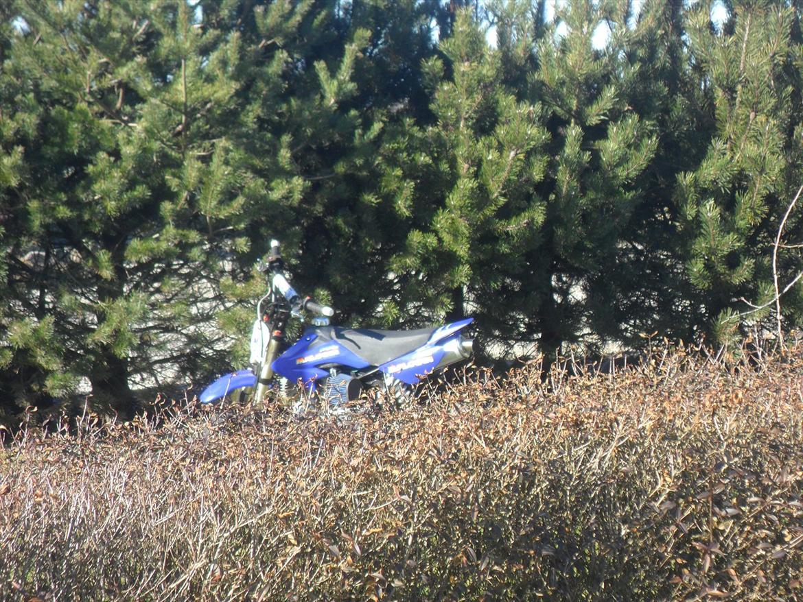 Kayo CRF-OS 15,20hk billede 11