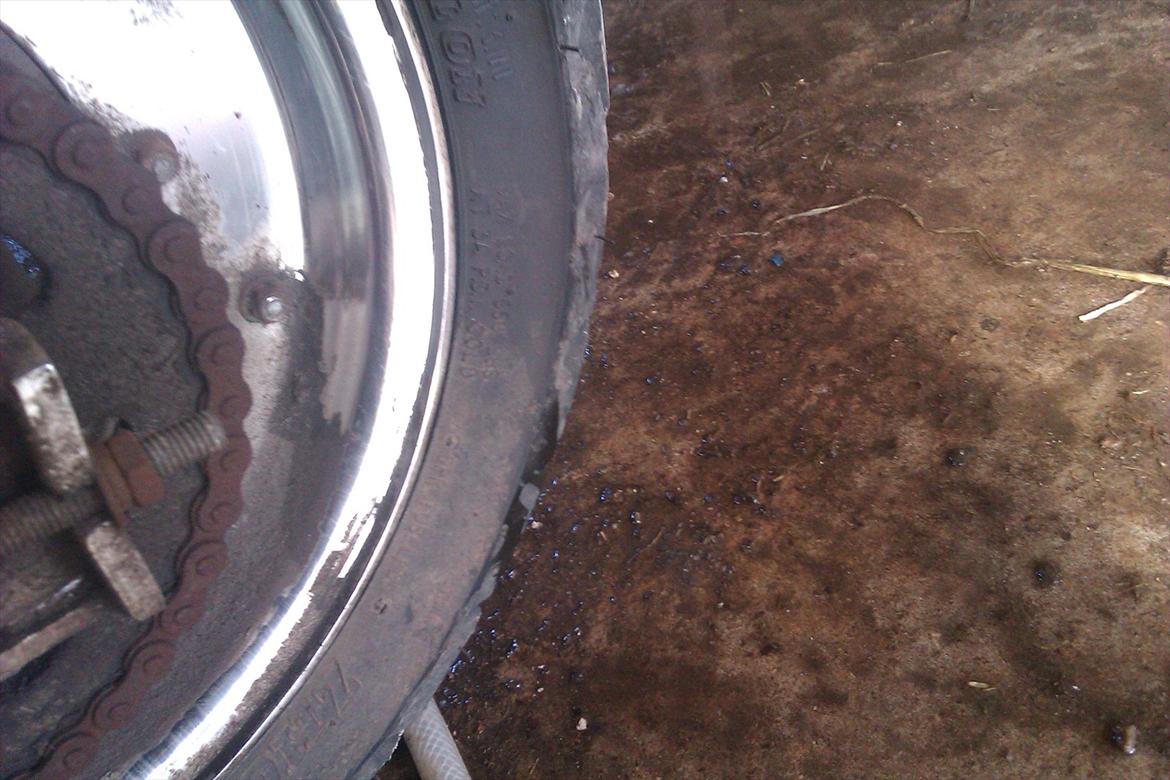 Zhenhua Ape  billede 3