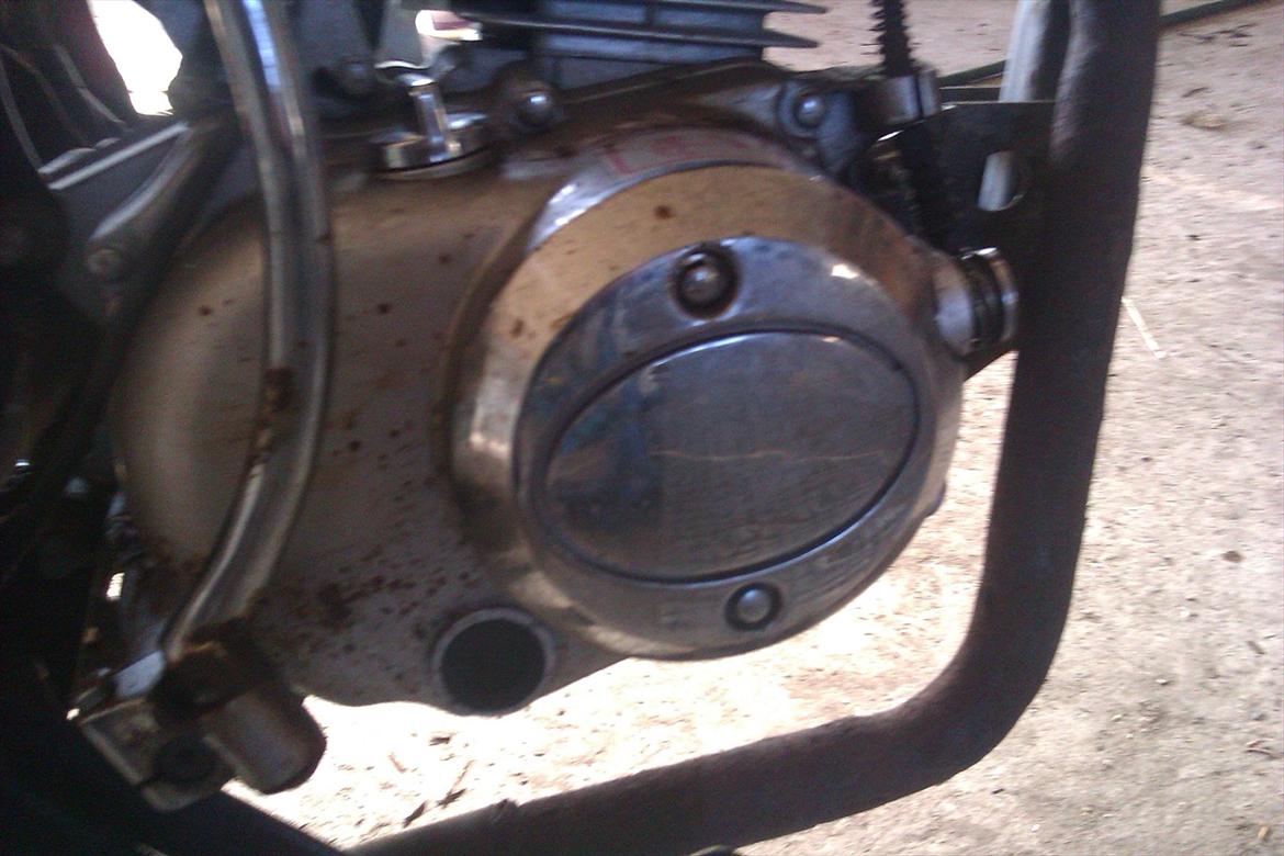 Zhenhua Ape  billede 6