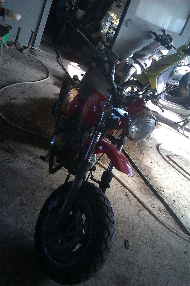 Zhenhua Ape  billede 7