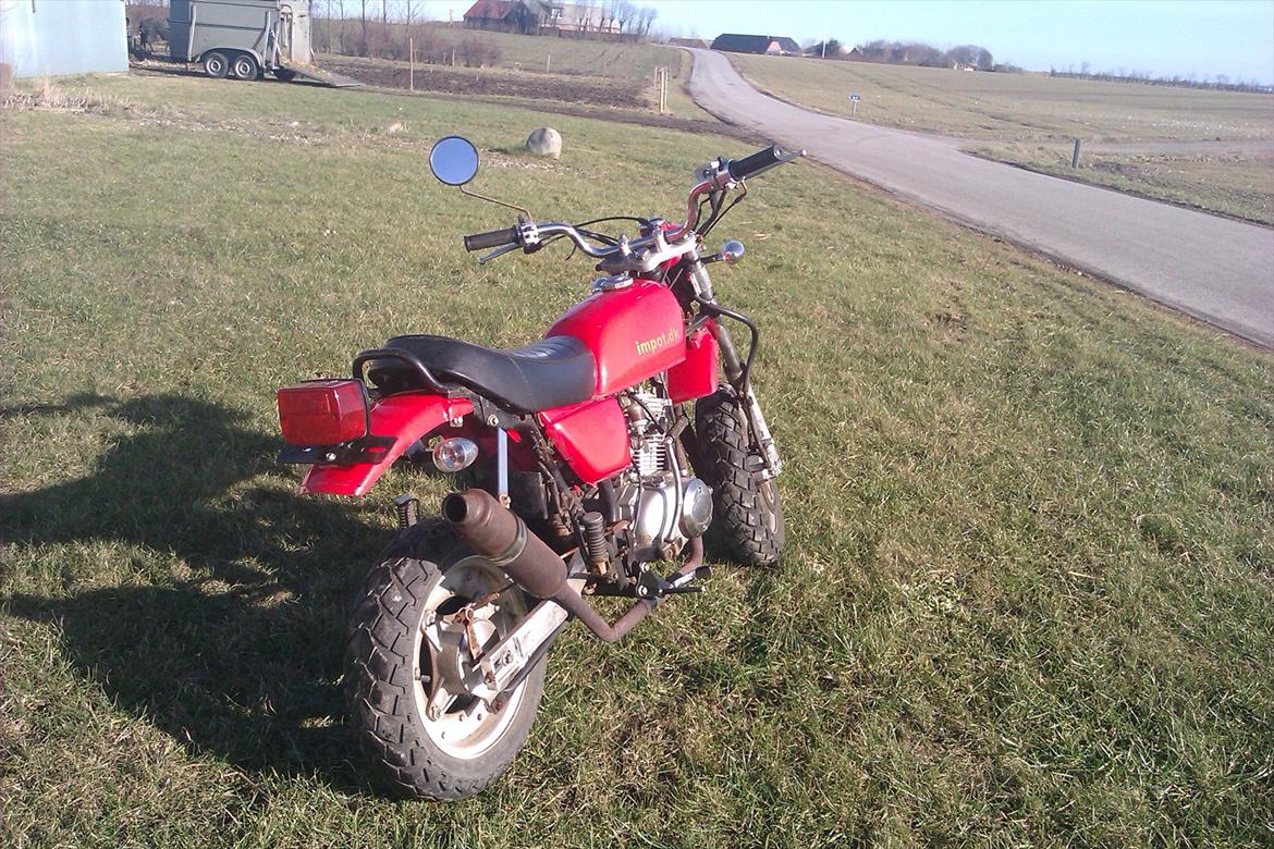 Zhenhua Ape  billede 8