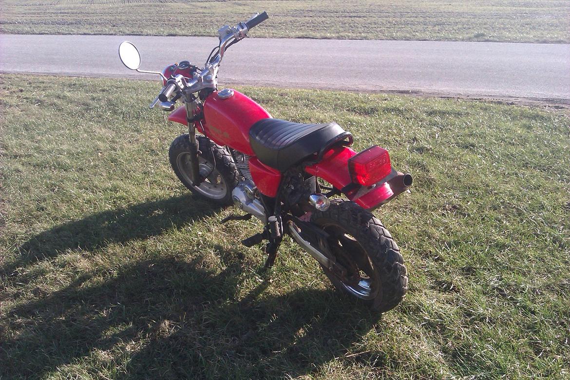 Zhenhua Ape  billede 9