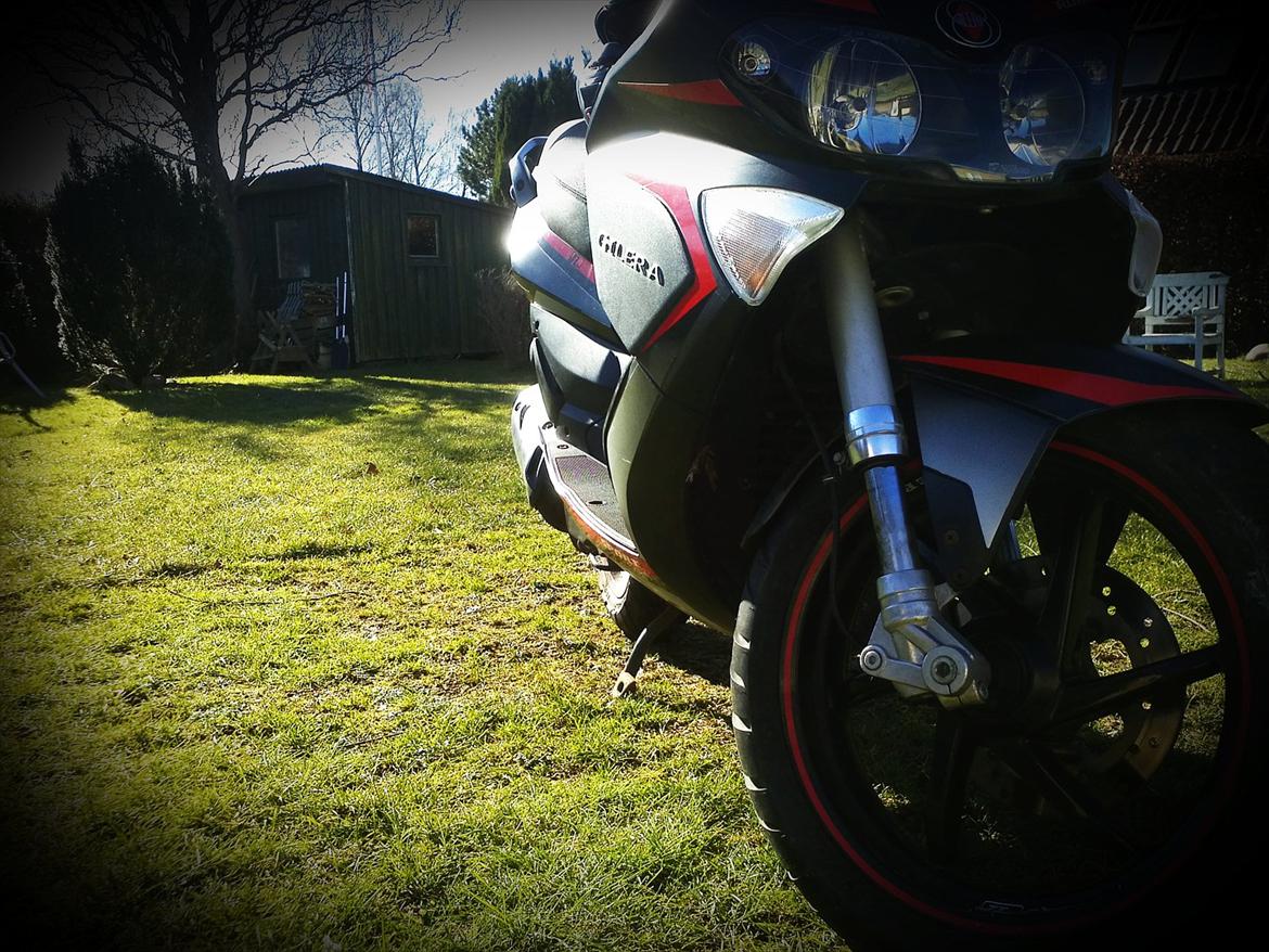 Gilera Runner SP AC billede 2