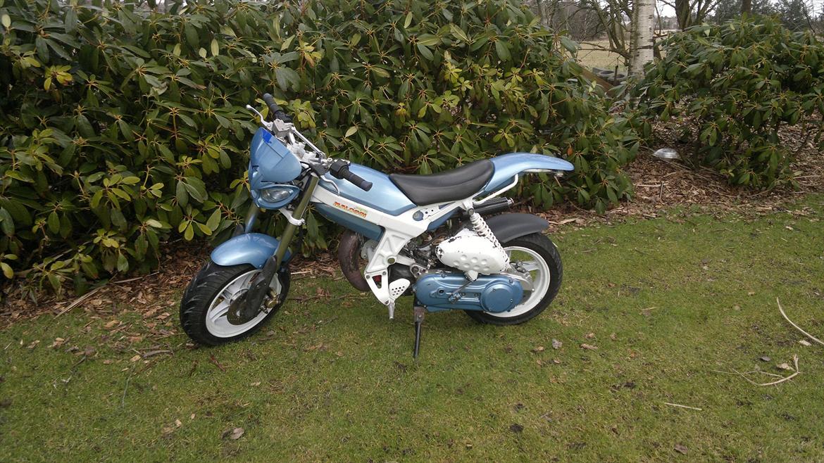 Suzuki Street magic billede 3