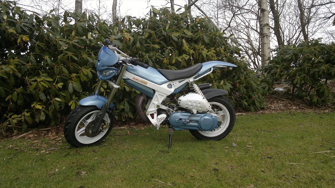 Suzuki Street magic billede 4