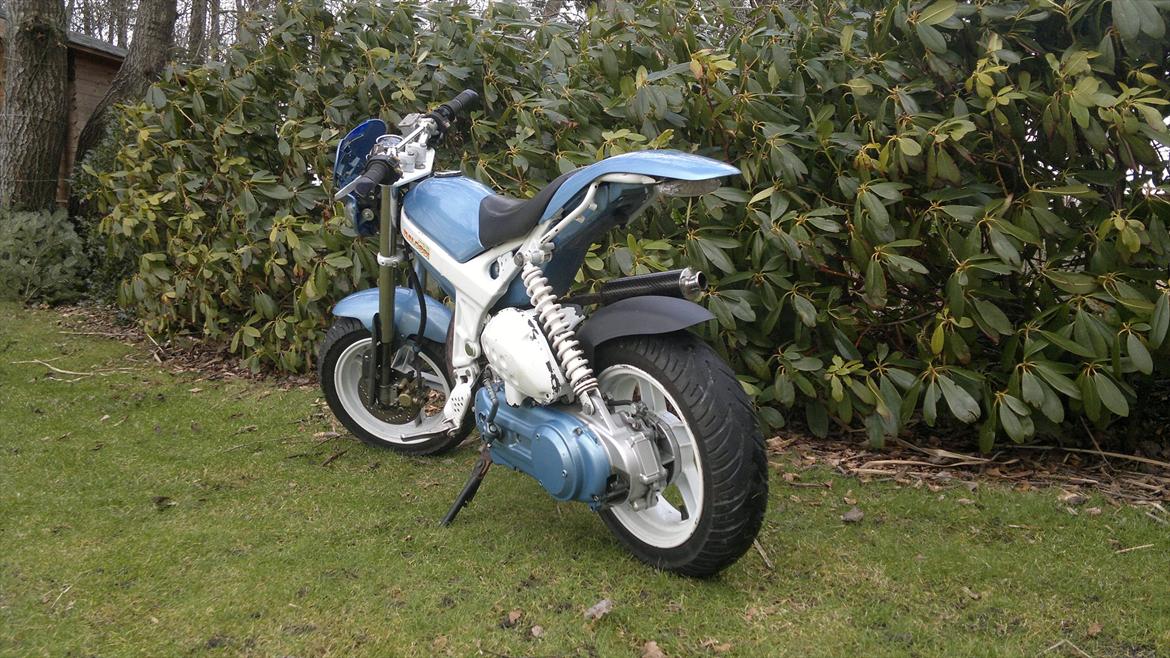 Suzuki Street magic billede 6