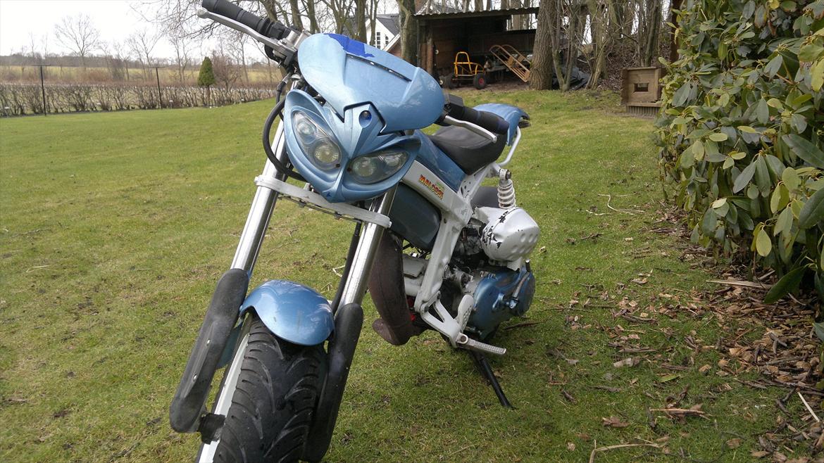 Suzuki Street magic billede 13