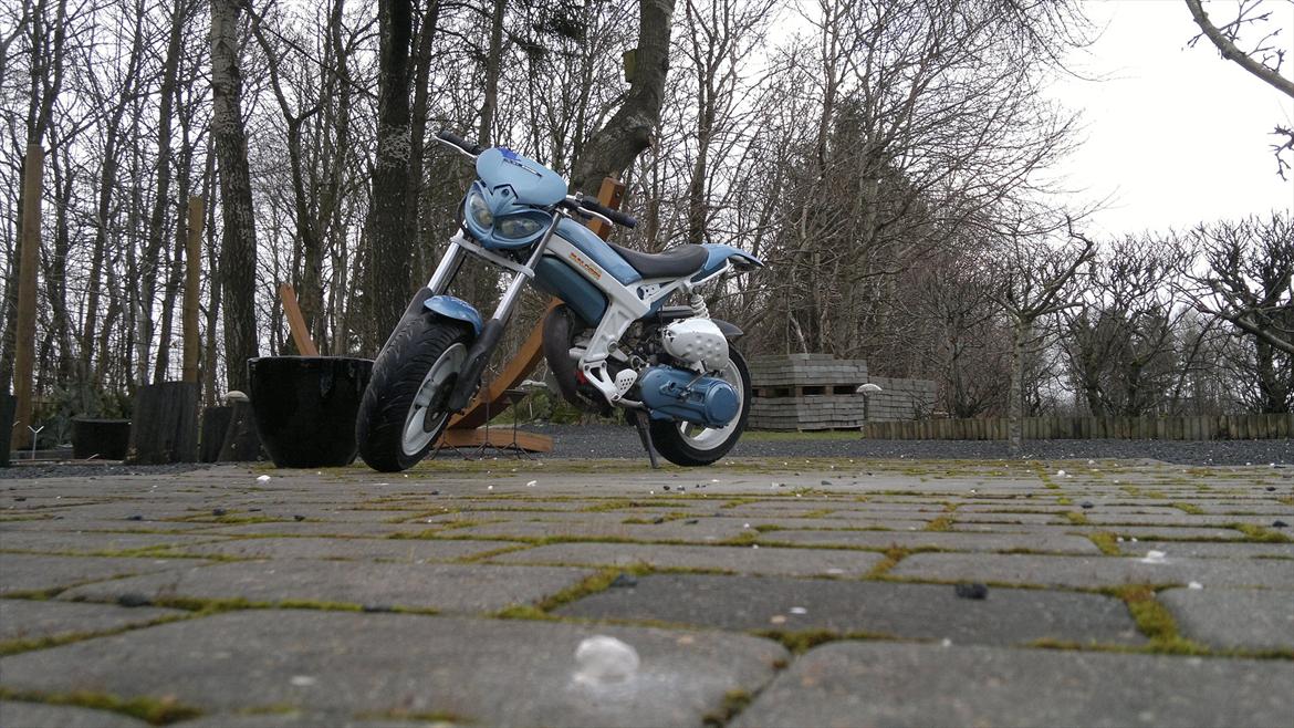 Suzuki Street magic billede 14