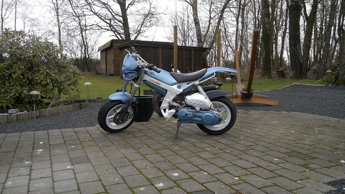 Suzuki Street magic billede 15
