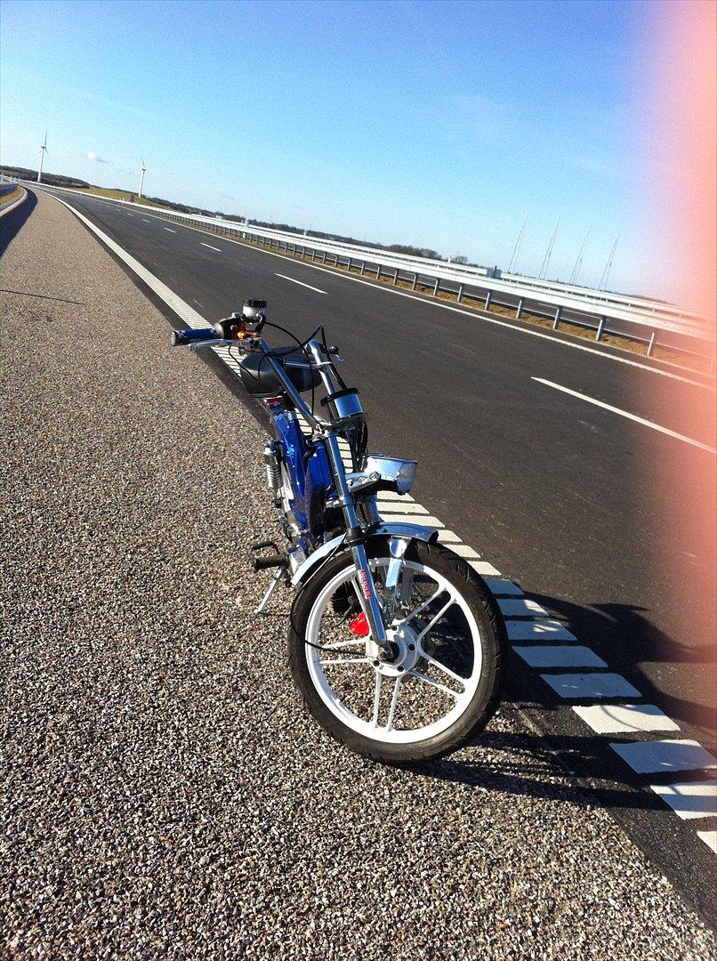 Puch Maxi P1 billede 2