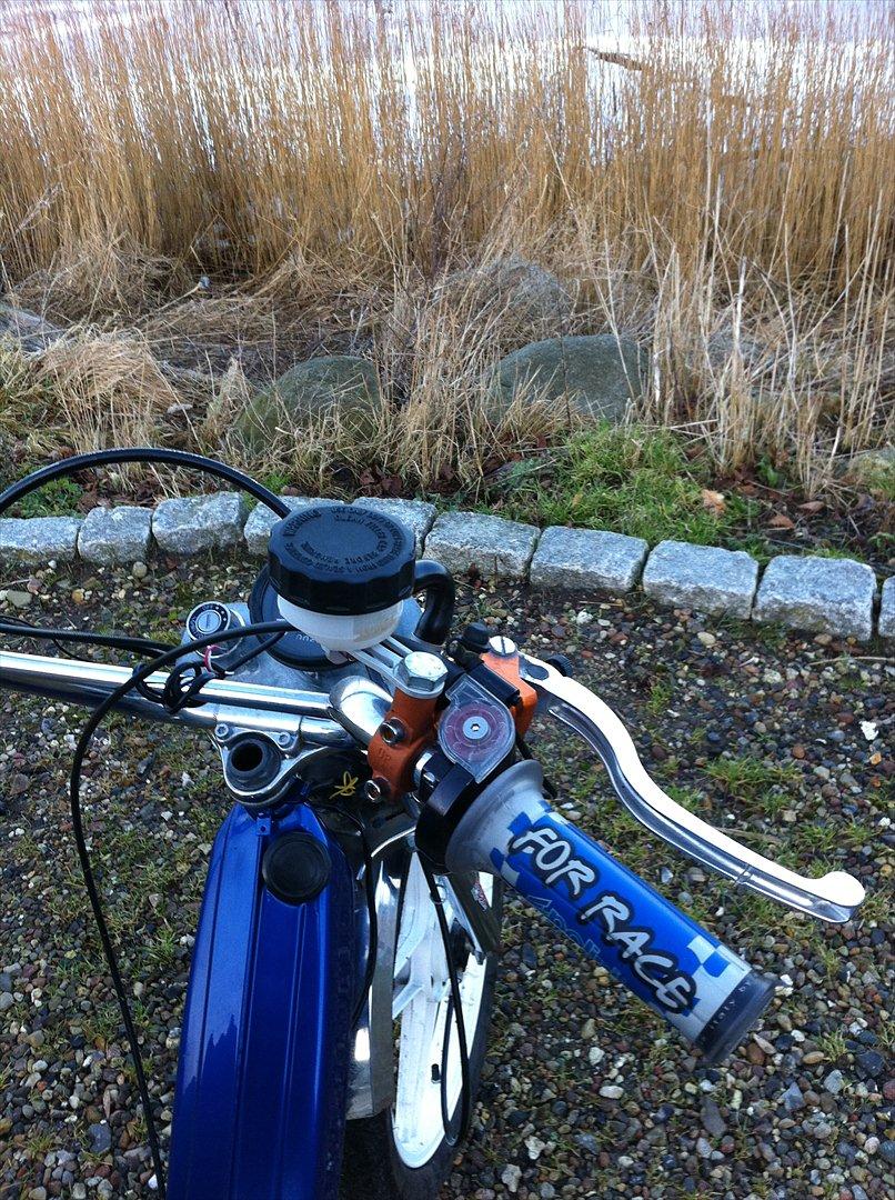 Puch Maxi P1 billede 6