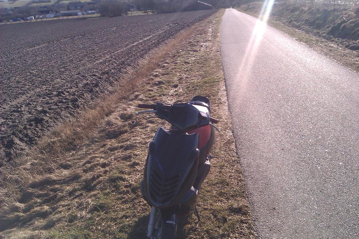 Aprilia sonic billede 8
