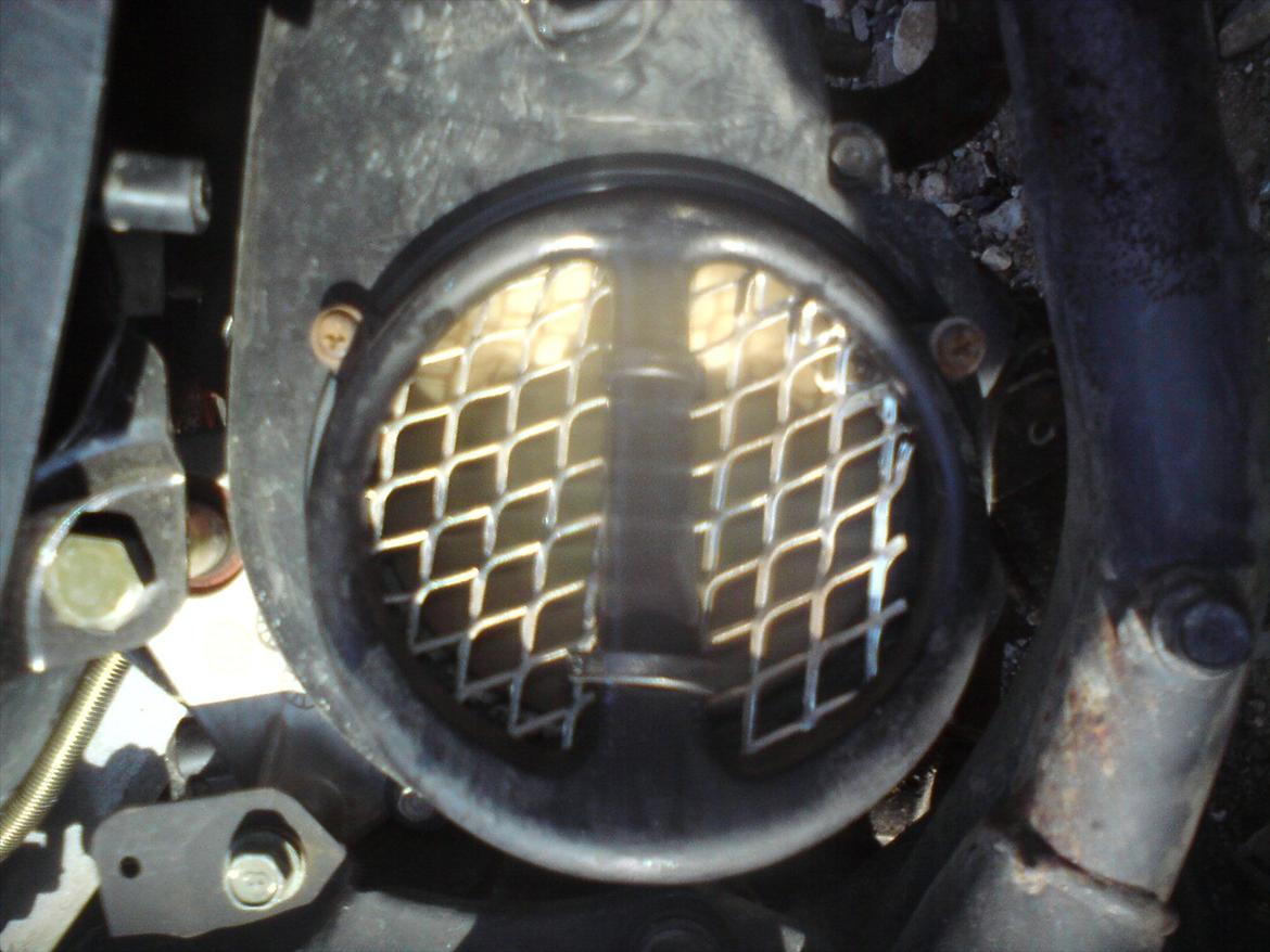 PGO hot 50 bad boy - den nye tryne billede 13