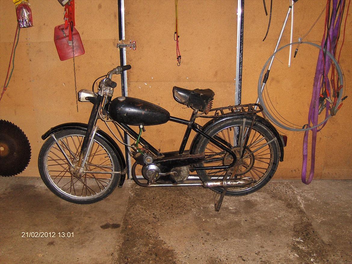 Veteraner Diesella senior billede 1