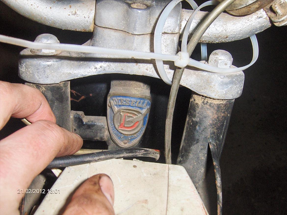 Veteraner Diesella senior billede 2