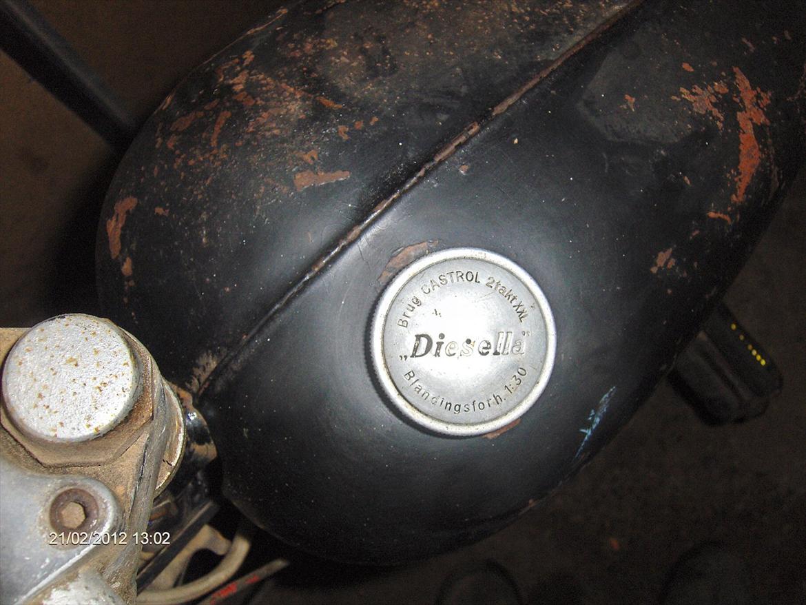 Veteraner Diesella senior billede 3