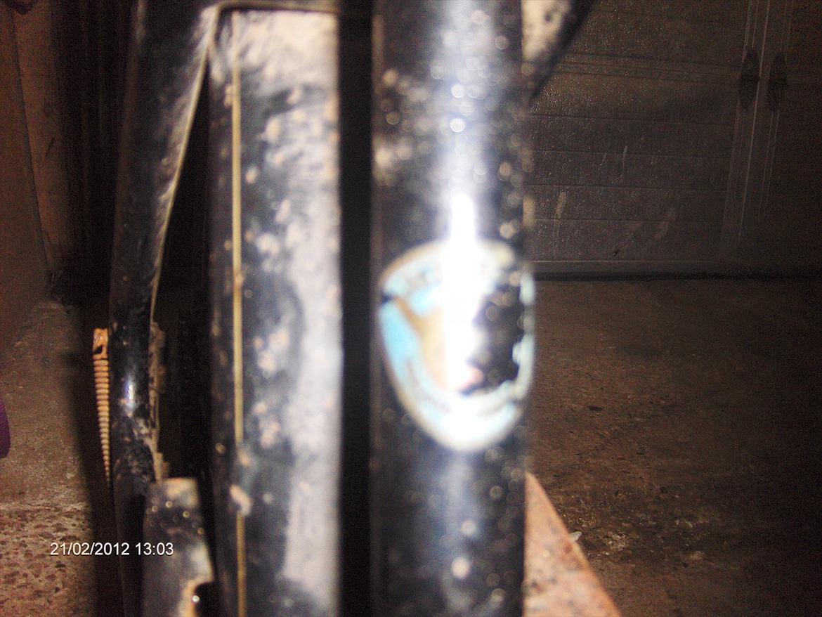 Veteraner Diesella senior billede 4