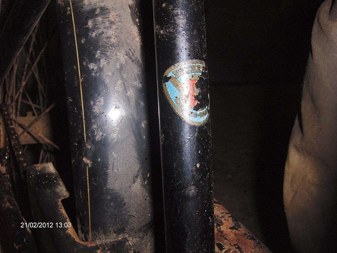 Veteraner Diesella senior billede 5