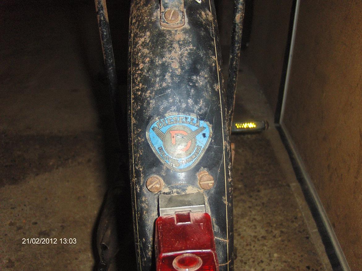 Veteraner Diesella senior billede 6