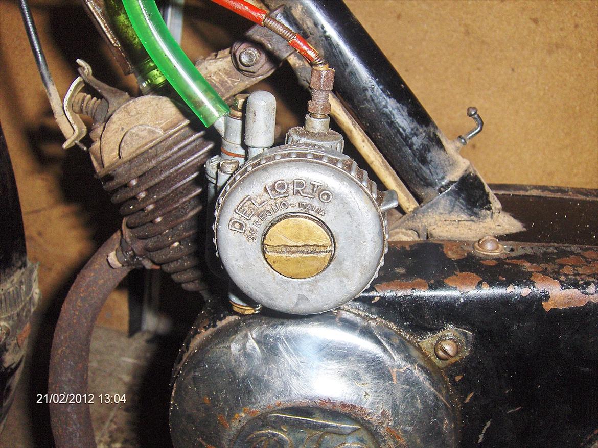 Veteraner Diesella senior billede 8