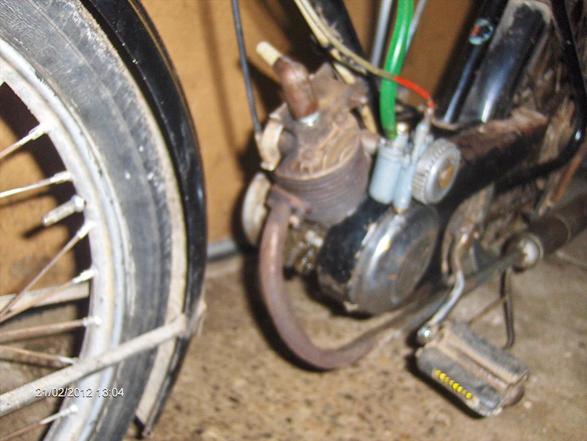 Veteraner Diesella senior billede 9