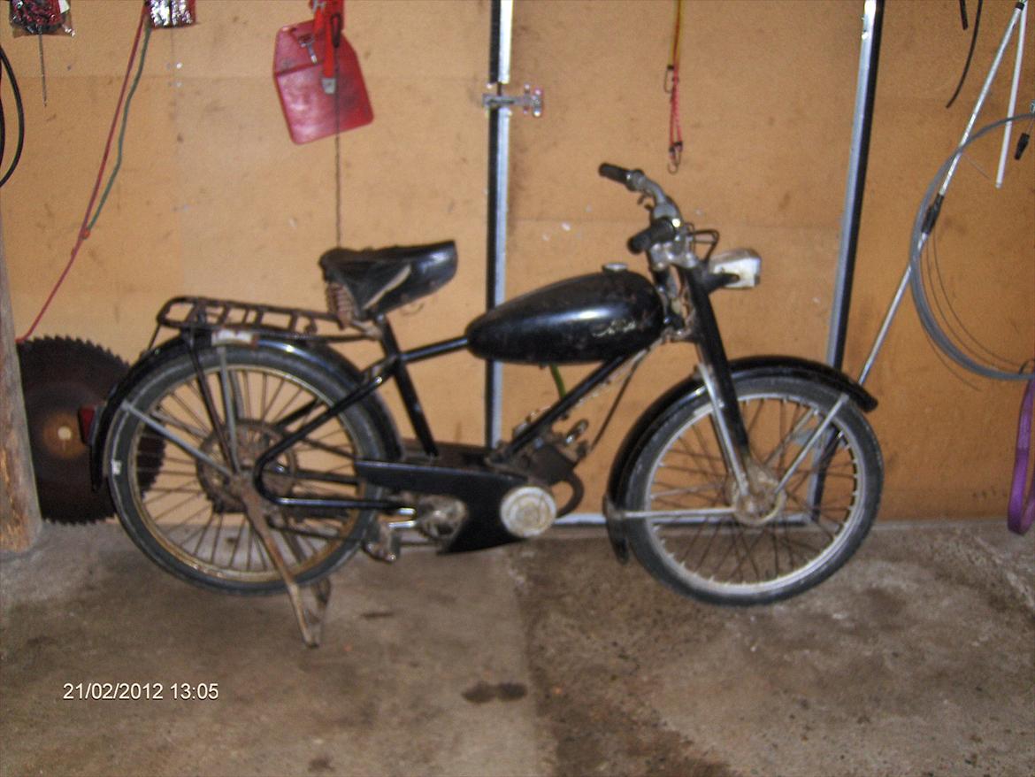 Veteraner Diesella senior billede 10