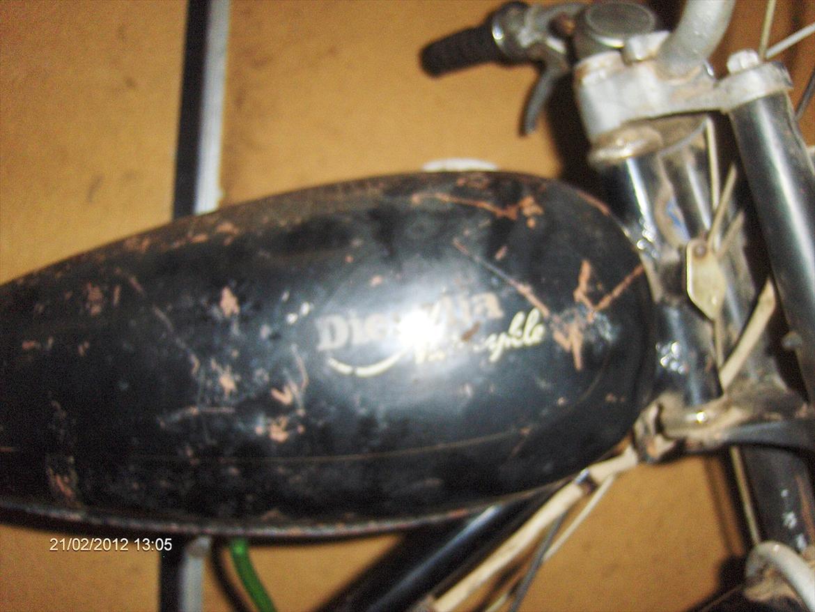 Veteraner Diesella senior billede 11