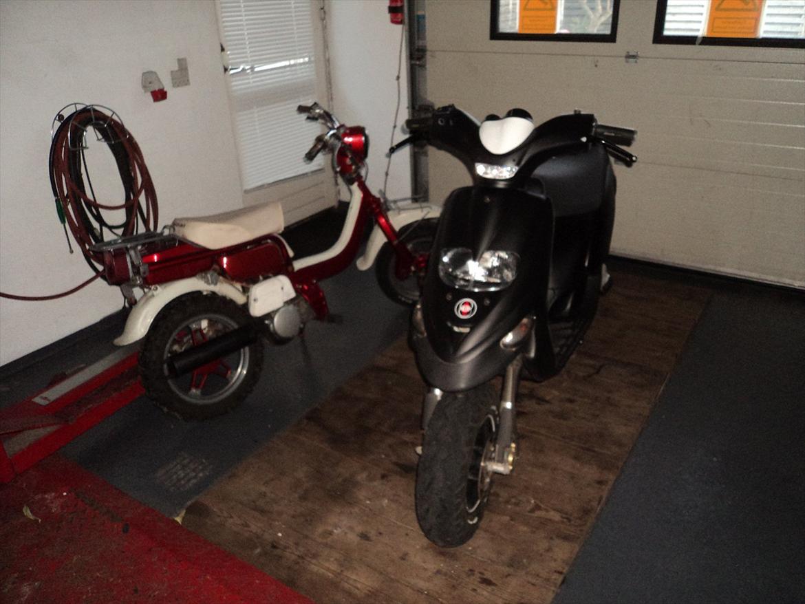 Gilera stalker - de er så søde samme <3 billede 10