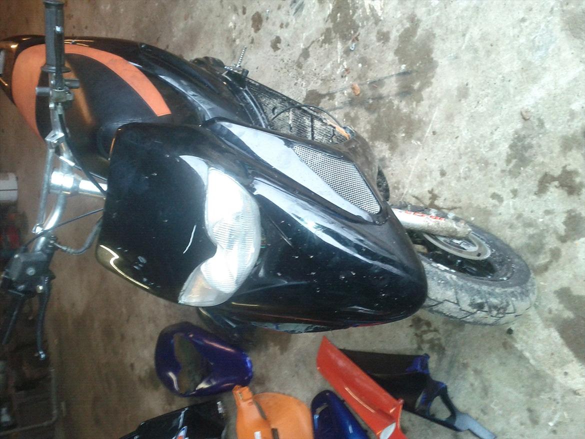 Honda sfx SOLG billede 3