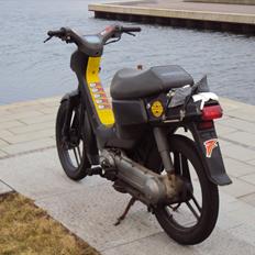 Honda Wallaroo