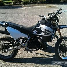 Suzuki Smx