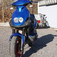 PGO pmx sport no fear (til salg)