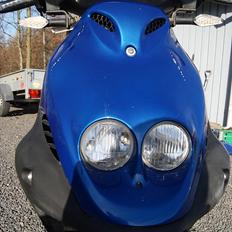 PGO pmx sport no fear (til salg)