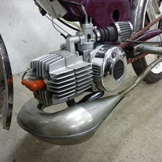 Puch maxi p