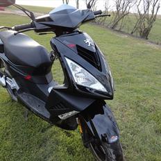 Peugeot speedfight 3