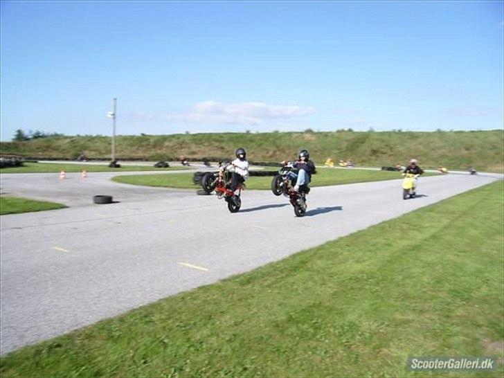 Peugeot TeamSpeedFight billede 19