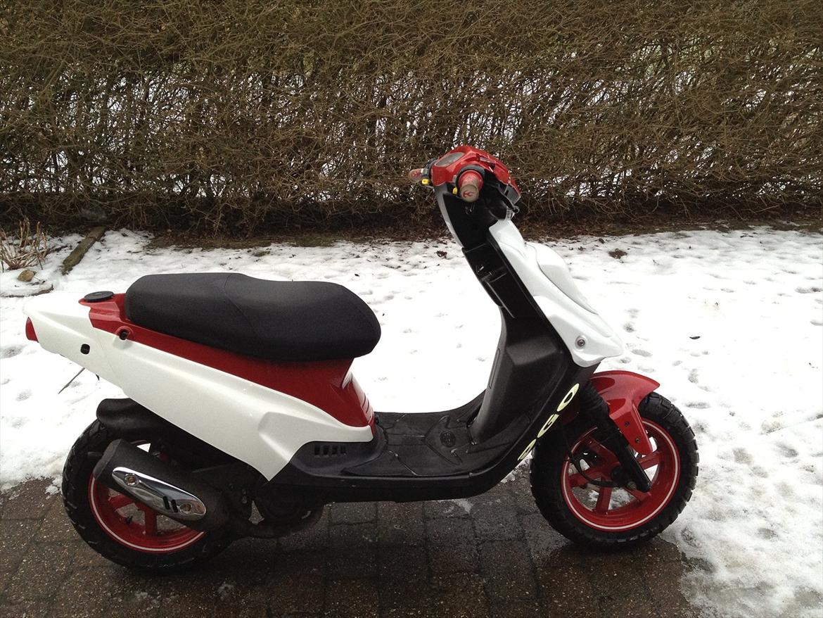 PGO Hot 50 PMPS billede 2