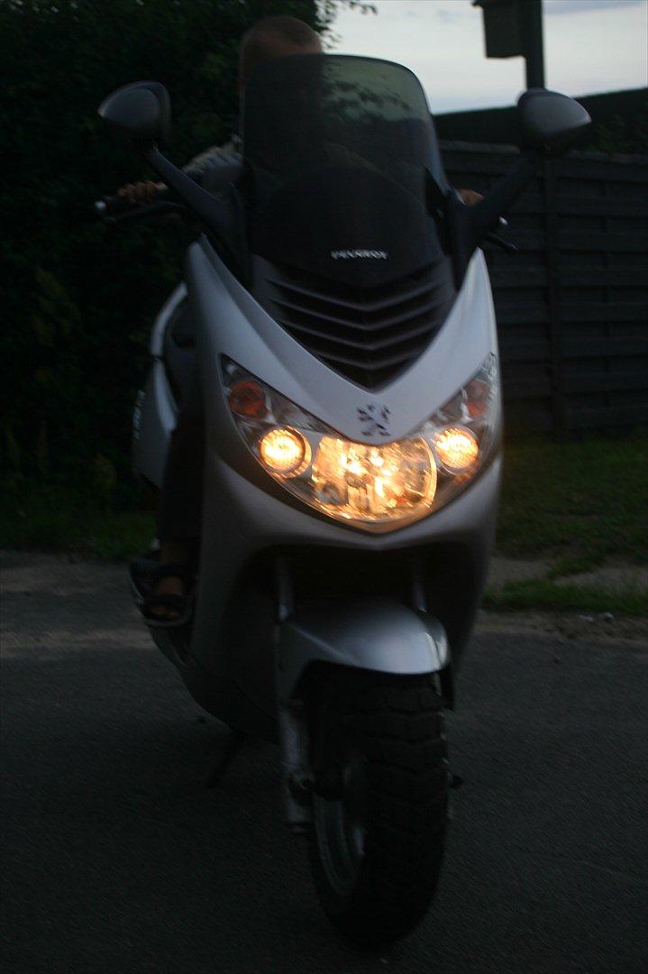 Peugeot Elystar Tdsi billede 8