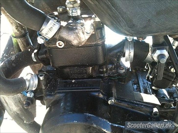 Suzuki Smx billede 5