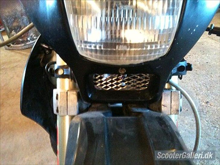 Suzuki Smx billede 6