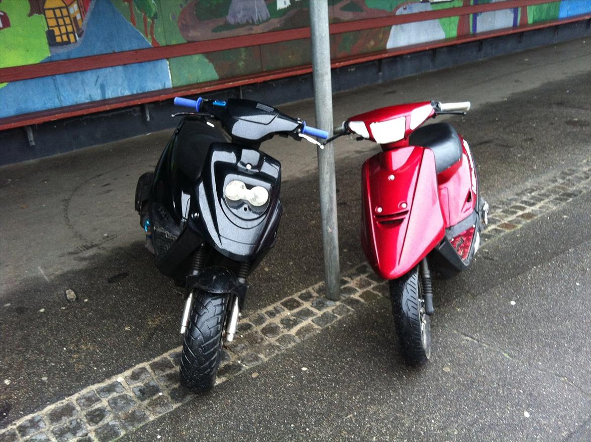 PGO Hot 50 billede 3