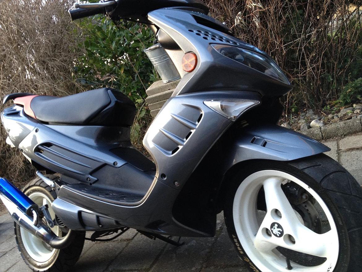 Peugeot speedfight 2 WRC billede 1