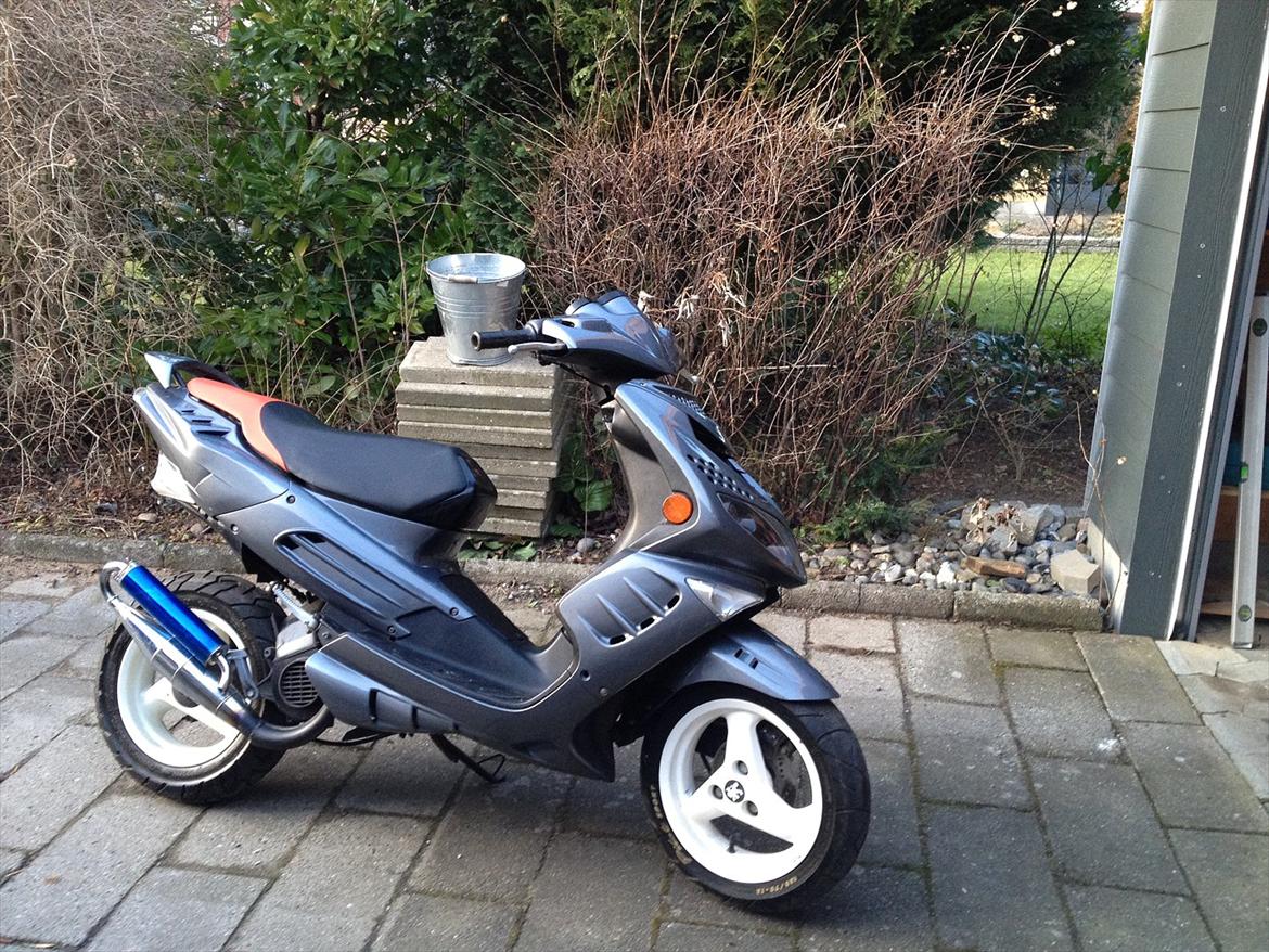 Peugeot speedfight 2 WRC billede 2